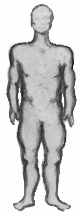 Rectangular-shaped; fat stored evenly all over the body