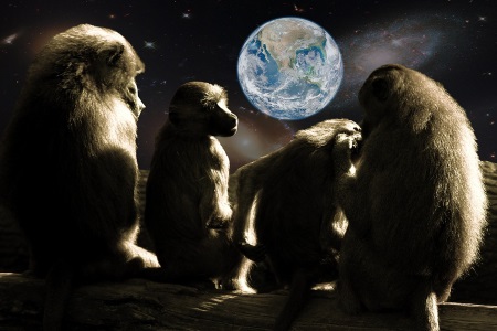 Beliefs and Values14