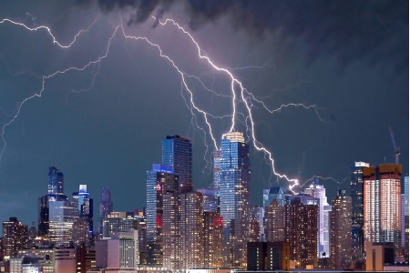 World Issues & Politics29