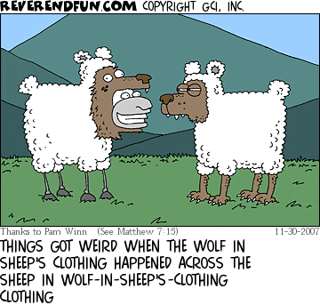 rf-wolf-in-sheeps-clothing