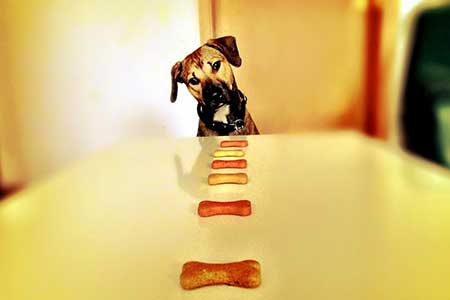 Attitude & Lifestyle tests(3)